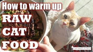 HOW TO WARM UP or HEAT RAW CAT FOOD – Raw Cat Food Recipe / Raw Diet for Cats / Homemade Cat Food
