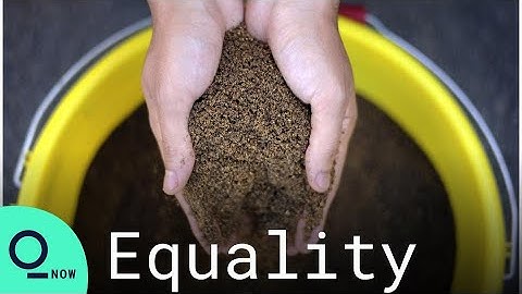 ‘Subminimum’ Pay for Disabled Workers Moves Closer to Extinction