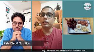 Toxic Food For Dogs In Our Kitchen