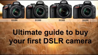 The ultimate guide for what DSLR camera to buy 