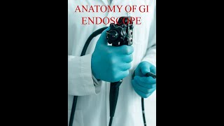 Anatomy of GI Endoscope