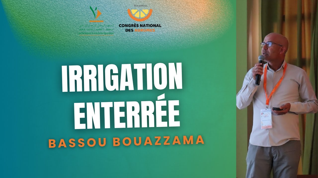 L'irrigation enterrée sur les agrumes sous les conditions édapho-climatiques du Tadla