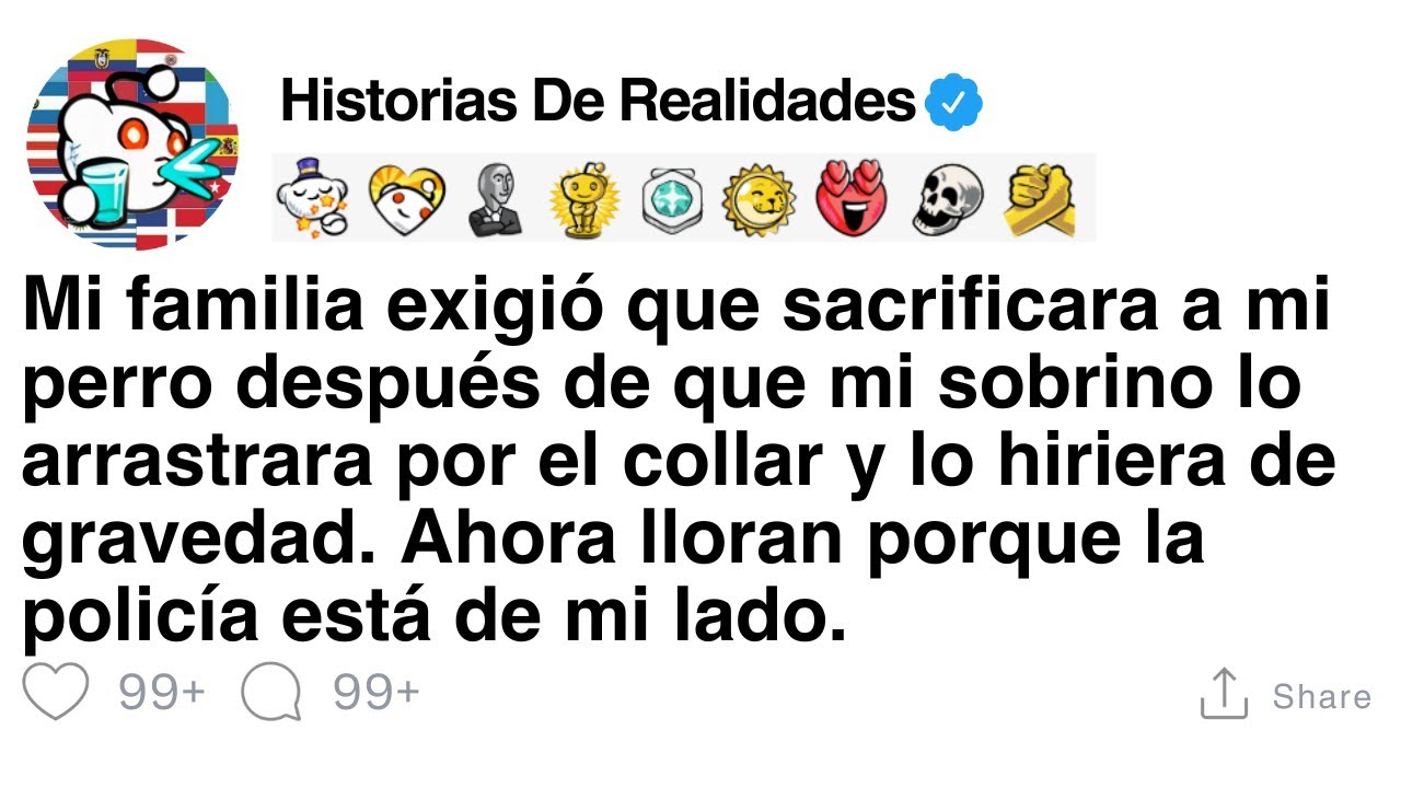 [HISTORIA COMPLETA] Mi familia exigió que sacrificara al perro después de que mi sobrino lo hiriera.