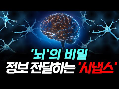 [핫클립] 우리 &amp;#39;뇌&amp;#39;의 비밀, 정보 전달하는 &amp;#39;<strong>시냅스</strong>&amp;#39; / YTN 사이언스