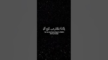 قرأن كريم بصوت الشيخ خالد الجليل تلاوه تريح القلوب ❤❤