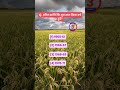 Agriculture gk 🔥 || #shorts #subscribe #shortvideo #shortsfeed #gk#generalknowledge#knowledge #viral