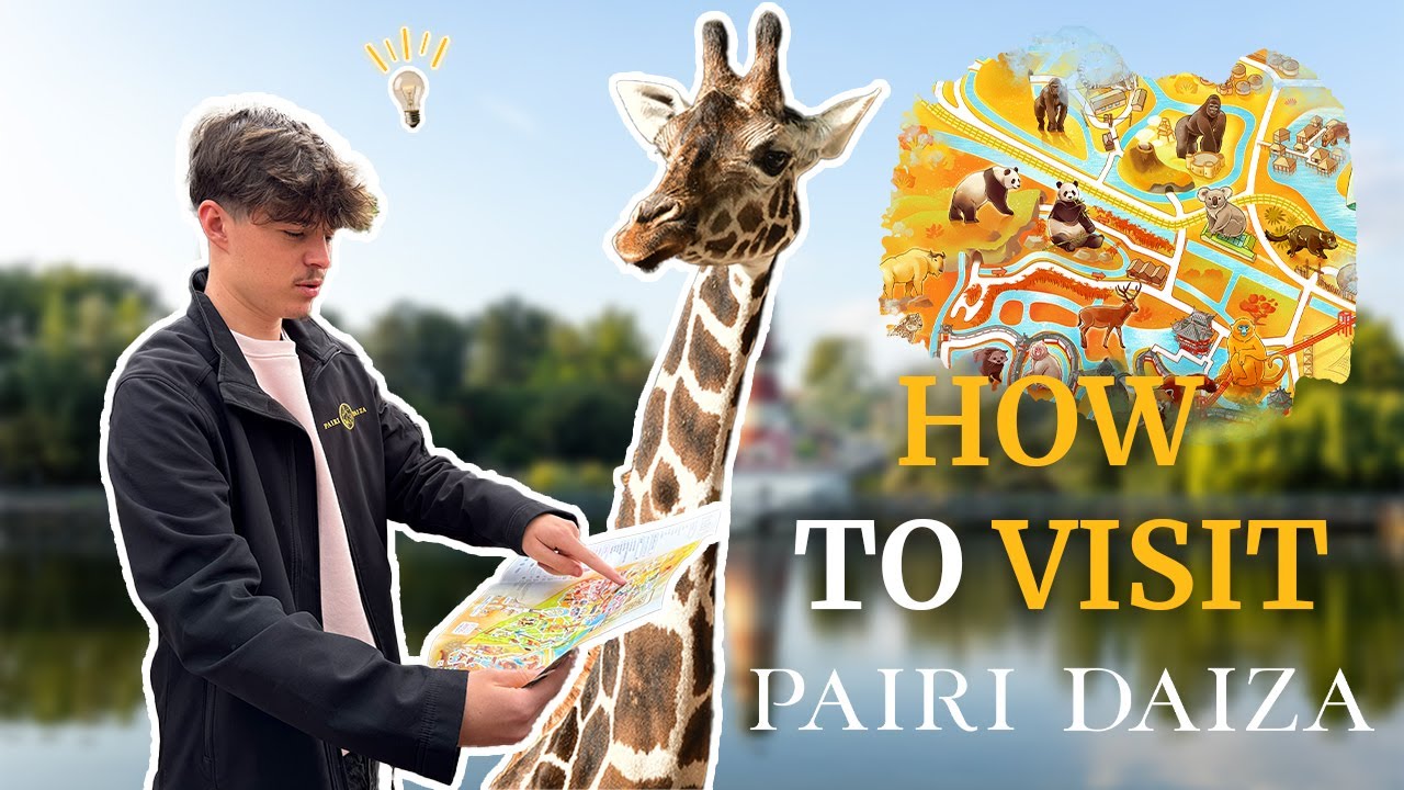 🦒 Mes CONSEILS & ASTUCES pour bien profiter de sa visite à PAIRI DAIZA !