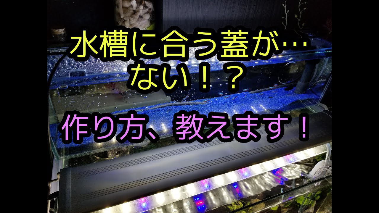 水槽に合う蓋がない？作り方教えます！ アクアリウム 水槽 蓋 - YouTube