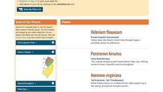 Jersey Friendly Yards Plant Database Overview
