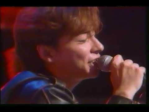 イカ天に出ていたこのバンドのこの曲が好きだった　（バンド名が分からない。…TAIL TO NOSE？）