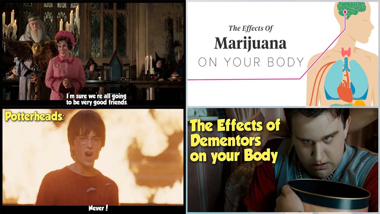 Only Harry Potter fans will find funny #40