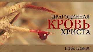 «Драгоценная Кровь Христа» — Андрей П. Чумакин | 1 Петра 1:18-19