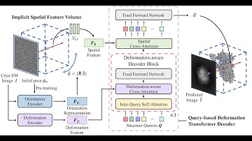 CryoFormer for Continuous Heterogeneous Cryo-EM Reconstruction