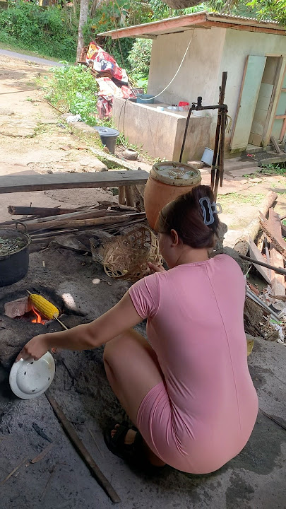 METIK JAGUNG DARI KEBUN
