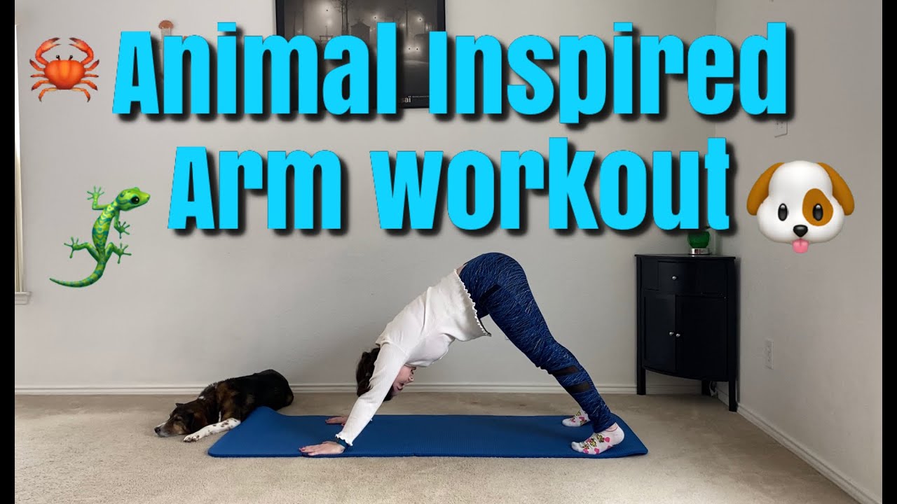 Animal Inspired Arm Workout - YouTube
