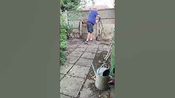 Clearing crab apples by the compost bin #timelapse #gardening #shorts #oddlysatisfying #satisfying