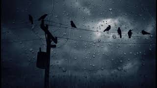 Sam Smith - Too good at goodbyes (Slowed + Muffled + Rain)