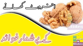 Akhrot Ke Tibbi Fawaid | Akhrot Ke Fawaid | Akhrot Khane Ke Fayde - اخروٹ کھانے کے فوائد