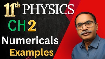 Chapter 2 Numericals And Examples || 11Th Class Physics New Book 2025 PCTB