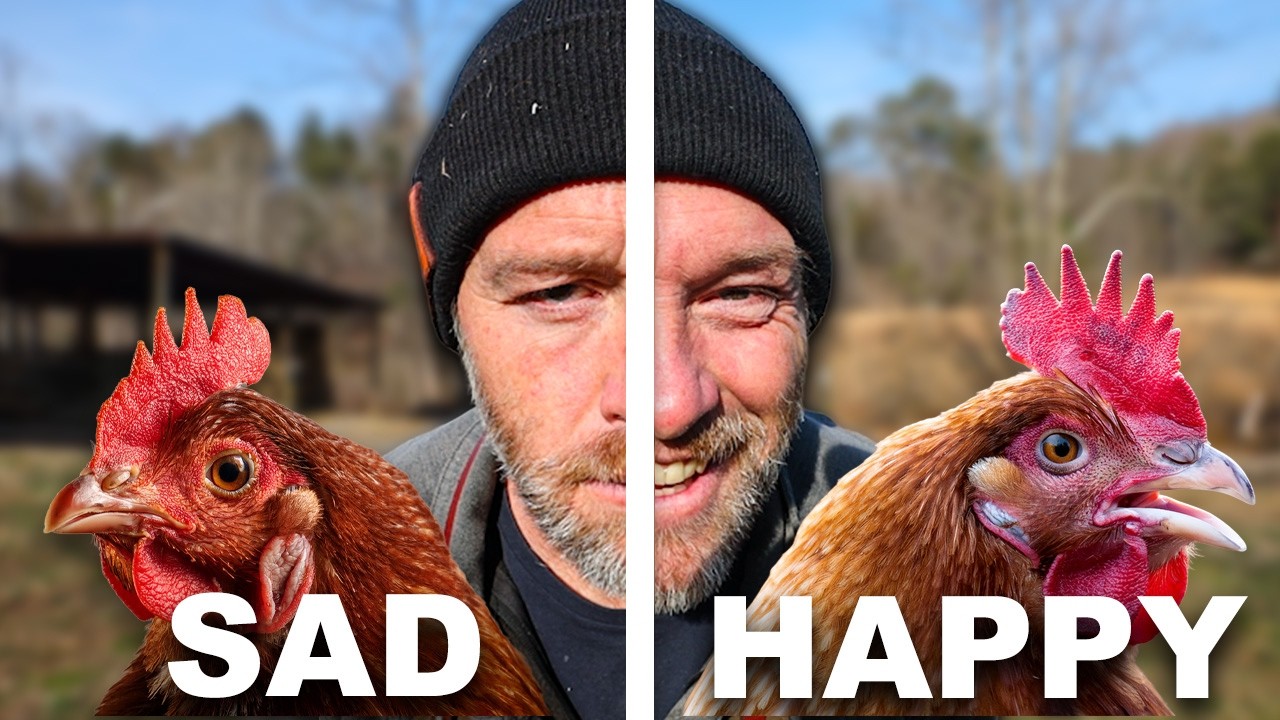 16 Mistakes Most People Make with Chickens
