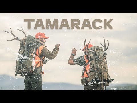 TAMARACK - A PNWILD Film