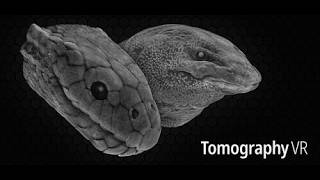 Tomography VR Trailer PC VR SteamVR