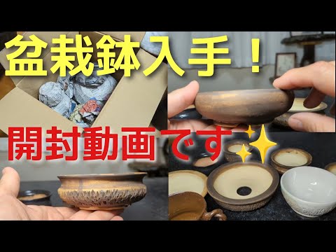 この落款解る方宜しくお願い致します、盆栽鉢、盆栽小鉢、盆栽、鉢、落款 盆栽鉢入手!開封動画です - YouTube