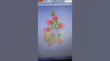 Digitizer jr software  can create any design