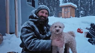 From Dog Attack to Dog Lover. How Puffy Is Changing Me