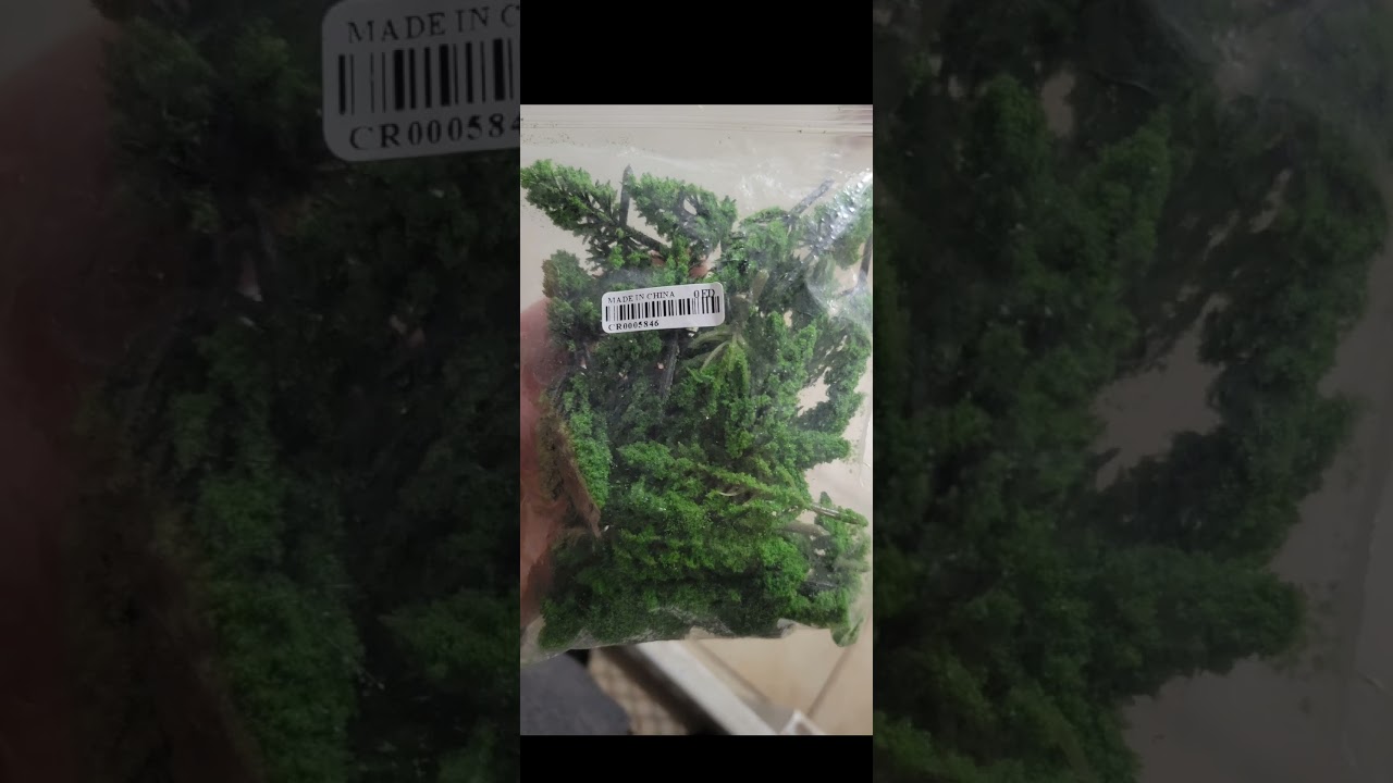 Wish Fail | Wig Fail | What I Ordered VS What I Got 