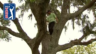 PGA TOUR players face difficult lies in trees, bushes and cactuses PGA TOUR players face difficult lies in trees, bushes and cactuses