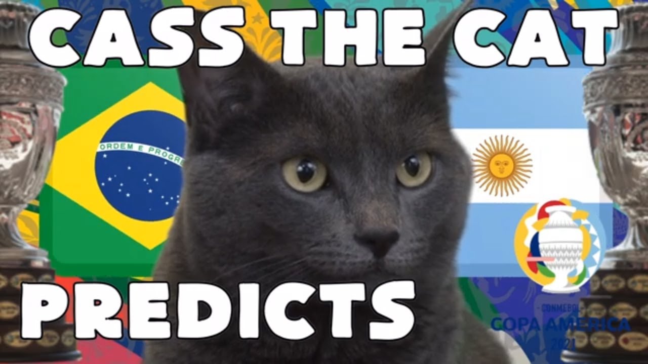 Cass The Cat 2021 Copa America Final Prediction Brazil Vs Argentina Youtube
