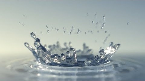 Water Drop | After Effects template