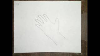 Smooth Animated Hand Drawing 30 fps
