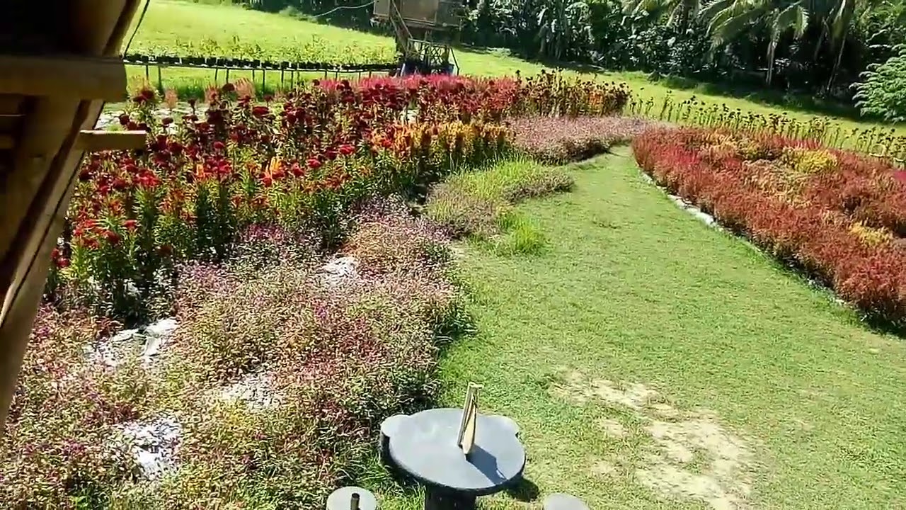 First Video Flower Farm YouTube