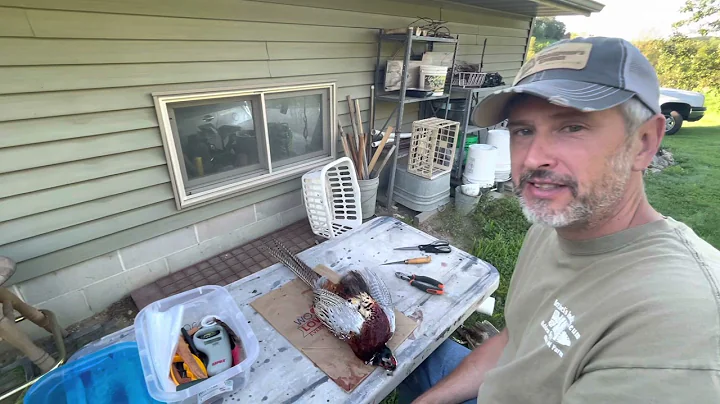 Pheasant skinning for feather art