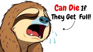 What Itβs Like to Be a Sloth Living Life in the Slow Lane