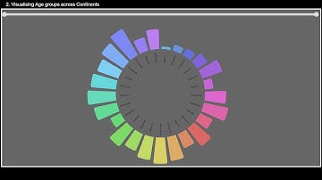 Data Visualization Project