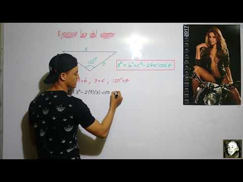 Ejercicio aplicación ley