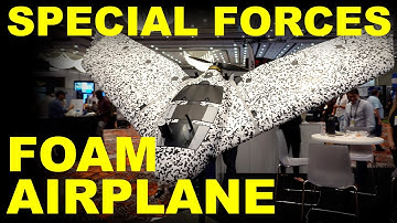 This eBee can sting!