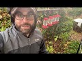 A rainy day in the charter group birdcams by dr motti charter