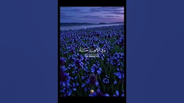 سورة البقرة 🌟 القارئ أحمد العجمي 🌙 #نور_القرآن #قرآن