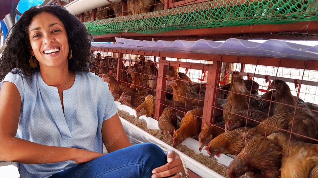 HABARI NJEMA KWA WAFUGAJI WA KUKU TANZANIA