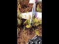 SUPreme ARF 1.2m Crash 私のペラペラ飛行機墜落 #shorts