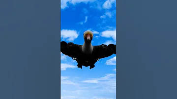 اغنية بوم بوم بيني كوزيني 