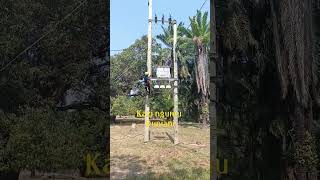 kazi ngumu duniani