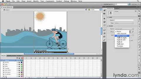 flash cs5 SFX properties