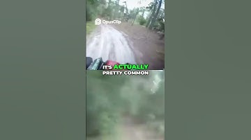 Lethal Booby Traps  Shocking ATV Trail Dangers