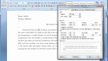 MS Word - Basic Format.avi