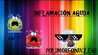 INFLAMACION AGUDA FÁCIL | EdwarCool